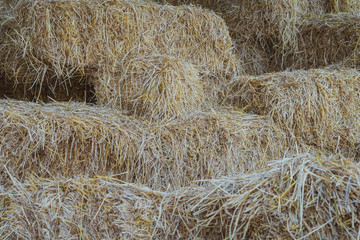 Bales of Straw in a shed for feeding horses