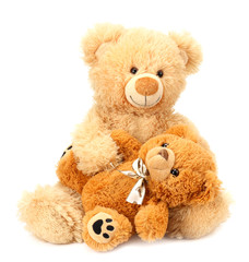 Two toy teddy bears isolated on white background
