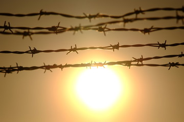 barbed wire - 257282639