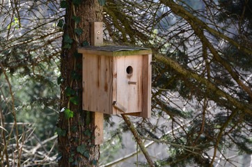 Nistkasten im Wald