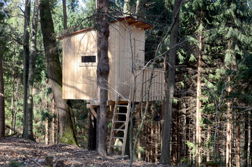 Baumhaus