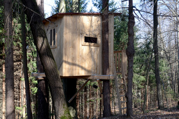 Baumhaus