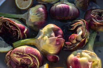 Beautiful italian artichokes,  (mammole), freshly cleaned and cut and put in water and lemon, ready to be cooked.