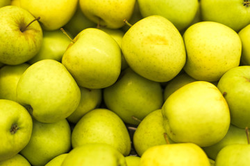 A large number of apples in the supermarket. Many green apples in a palette