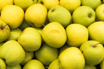 A large number of apples in the supermarket. Many green apples in a palette