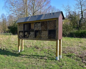 Dom do insektow © Iwona