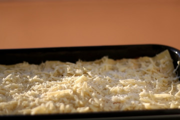 Lasagna in a pan, sprinkled with cheese, before baking. Selective focus.