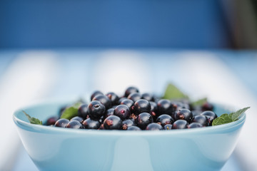 Black currant close up in a blue bowl with copy space.