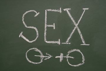 inscription chalk sex on the chalkboard green background symbol of man and woman