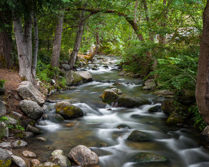 Long exposure of Lithia Creek with trees hanging low over the water in Ashland Oregon