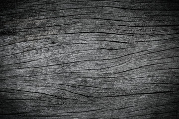 Obraz premium Old wood texture closeup for background.