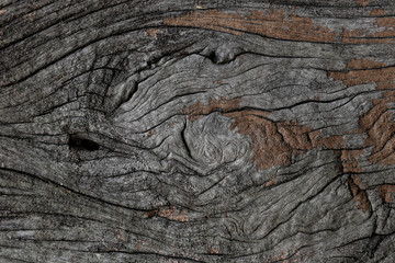 Old wood texture closeup for background.
