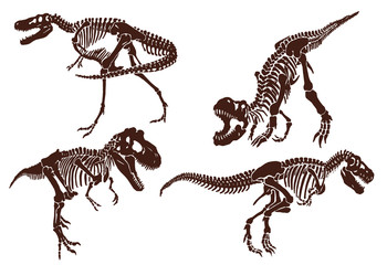 Graphical vintage set of dinosaur skeletons ,retro background,vector sketch
