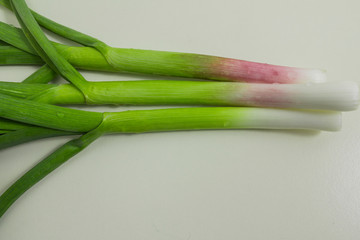 Green garlic grown by own hands on with a howl a kitchen garden.