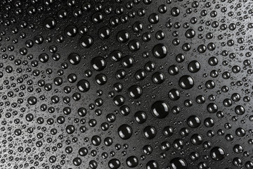 Droplets of water on a black, matte background illuminated with a delicate light.