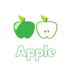 set of Green apple with stem and leaf.  Element of education illustration. Healthy vegetarian food. Vector isolated illustration on white background