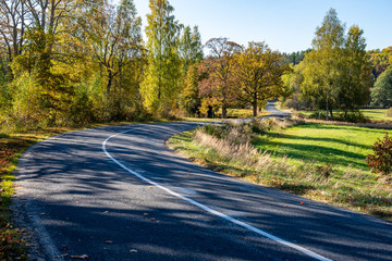 Fototapeta premium empty gravel road in autumn