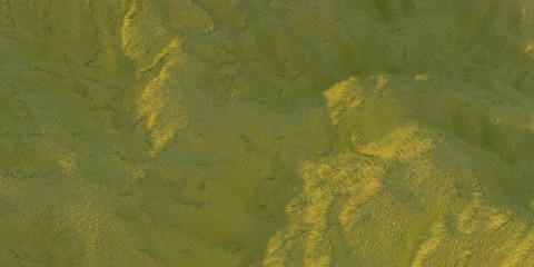 Green grass hills lit by warm sunlight with the white background aerial top view from drone or plane. 3d illustration render