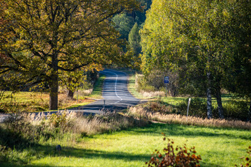 empty gravel road in autumn