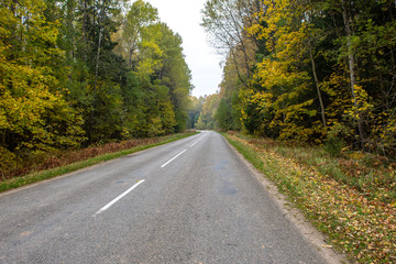 empty gravel road in autumn