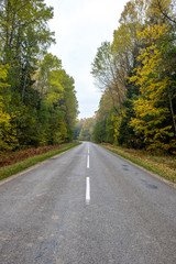 empty gravel road in autumn