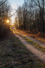 empty gravel road in autumn