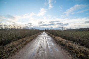 empty gravel road in autumn