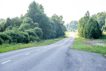 Fototapeta premium empty asphalt road in autumn