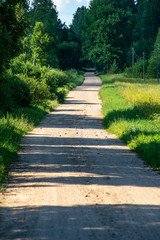 empty gravel road in autumn