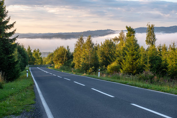 empty asphalt road in autumn