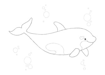Naklejka na ściany i meble Cute killer whale outlined. Cartoon orca smiling. Cartoon vector hand drawn eps 10 outline illustration isolated on white background in a flat style.