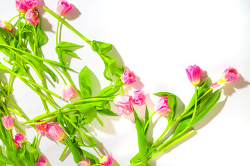 Spring flower background. Gentle pink tulips on a white background. Natural cosmetics for women. Congratulations and celebration. Green, pink and white poster.