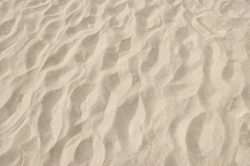 Fototapeta na wymiar Texture of clean sand on the beach close up