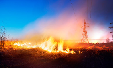 burning grass in the field