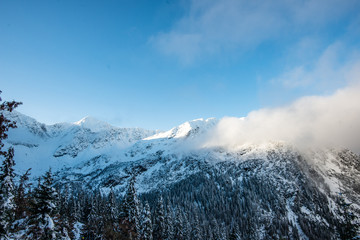 snow covered tourist trails in slovakia tatra mountains © Martins Vanags