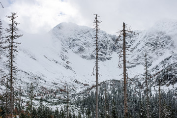 snow covered tourist trails in slovakia tatra mountains © Martins Vanags