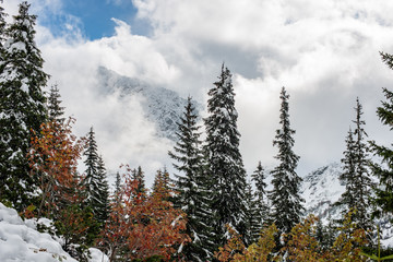 snow covered tourist trails in slovakia tatra mountains © Martins Vanags