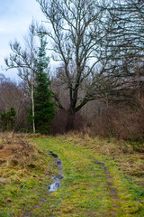 empty gravel road in autumn