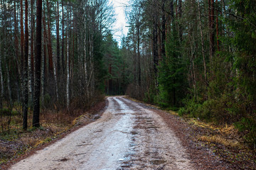 Naklejka premium empty gravel road in autumn