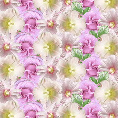 Beautiful floral background of lilac roses and mallow. Isolated