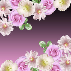 Beautiful floral background of lilac roses and mallow. Isolated