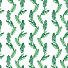 Watercolor hand painted exotic botany banana leaves illustration seamless pattern on white background