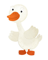 cartoon scene with goose on white background - illustration for children