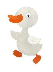 cartoon scene with goose on white background - illustration for children