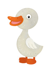 cartoon scene with goose on white background - illustration for children
