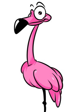 Pink flamingo parody bird animal character cartoon illustration isolated image