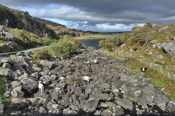 Obraz premium Gap of Dunloe, Ireland