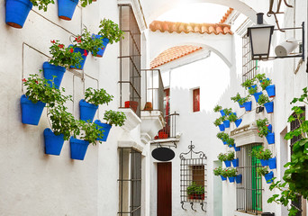 Fototapeta na wymiar Spain. Traditional Mediterranean street in old spanish town with white walls of houses and blue pots flowerpots with flowers. Archs and tegular roofs.