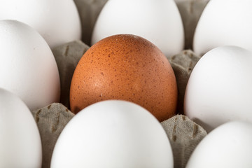 Eggs packed in cardboard or boxes for transporting