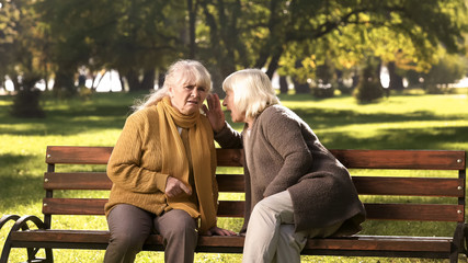 Old women telling secrets, sitting on bench in park, friendship, golden years